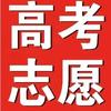 好未来 高考志愿