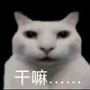 喵喵喵喵喵喵喵喵喵喵喵喵喵喵喵喵喵喵喵喵