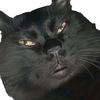 喵喵米米（不瘦10斤不改名版
