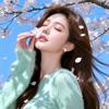 团子·毛球