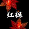 红枫