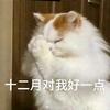 紫玲是我吗
