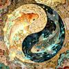 鸿森让心能静