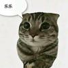 mmo资历哥（id：haqijimi）