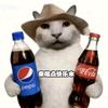 霹雳无敌毛毛猫