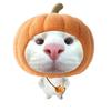 QAQ
