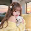 ༊ღ半颗糖꧔