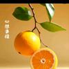 云舒🍊日常生活