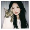 咪咪是只狸花猫