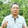 田间农技人•毛中贵