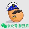 胖豆只