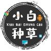 小白爱种草