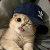 Heng²⁺
