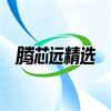 腾芯远锂电精选