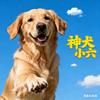 神犬小六