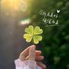 赵老师教育分享678
