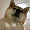 舒克贝克
