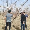 田华     元汇农业
