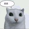 在我眼里你就是个乐乐
