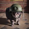 荒猎（暗区突围pc）