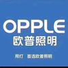 新密欧普灯具刘姐