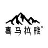 骆驼户外休闲旗舰店防护装备直播号