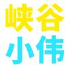 峡谷小伟