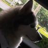 颜铭溪
