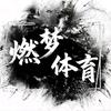 燃梦体育