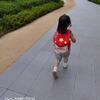 珊瑚求学（关必回）