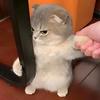 胡咧咧