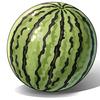 一个西瓜