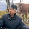 长春老孟二手车111