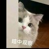 小青（学唱歌看简介➕薇）