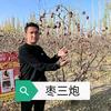 青岛奥迪斯-小江
