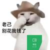 蒜头