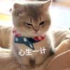 努力搬砖