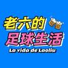 老六的足球生活