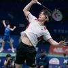 小涛今晚不打球🏸