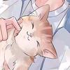 纯心小猫