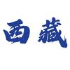 藏藏上岸