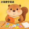 小海狸学英语