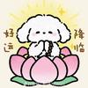 梦夏