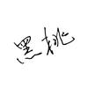 黑桃z