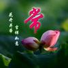 乐龄信息