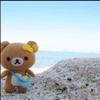 大熊带你看世界