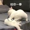 一念（永劫手游）