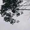 半格生活簿