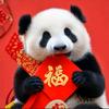 熊猫🐼经典电影📺