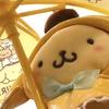 蓝莓大王